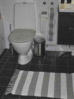 Badrumsmatta, toalettsits och toalettrullshållare